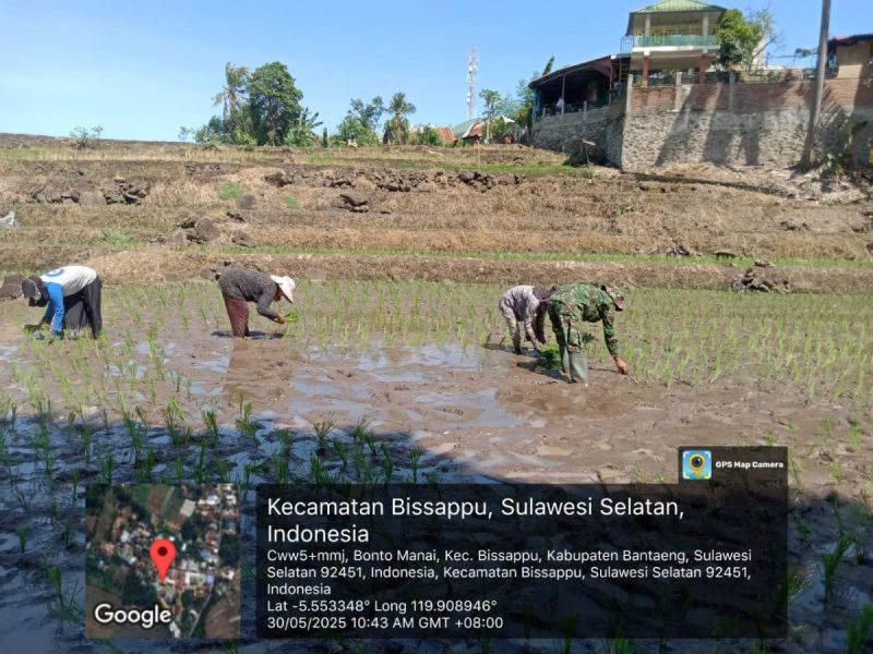 Babinsa Bonto Manai Dampingi Kegiatan LTT, Dukung Ketahanan Pangan di Wilayah Binaan
