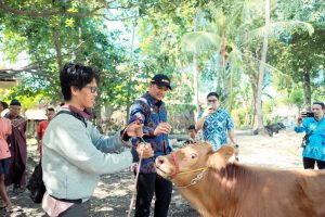 Bupati Bantaeng: Hari Ini Kita Tinjau Sapi Kurban dari Bapak Presiden Prabowo