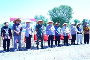 Kapolda Sulsel Pimpin Langsung Panen Raya Jagung Serentak Kuartal II 2025 Digelar di Takalar