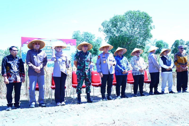 Kapolda Sulsel Pimpin Langsung Panen Raya Jagung Serentak Kuartal II 2025 Digelar di Takalar