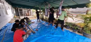 IKA BKPRMI Kota Medan Tebar Satu Hewan Kurban di Idul Adha 1446 H, Perkuat Solidaritas dan Kepedulian Sosial
