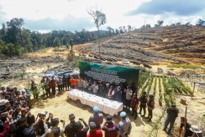 Tindak Tegas Perusakan Hutan, Polda Riau Tegaskan Komitmen Green Policing
