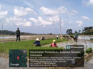 Babinsa Banyorang Dampingi Petani Siapkan Bibit Padi Untuk LTT