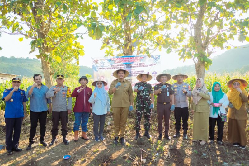 Tanam Benih Jagung Jago Unhas, Bupati Uji Nurdin Siapkan Petani Semakin Sejahtera