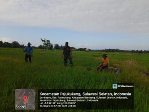 Babinsa Kaloling Dampingi Warga Bersihkan Pematang Sawah dalam Kegiatan LTT