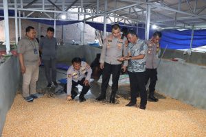 Komitmen Dalam Mendukung Ketahanan Pangan Nasional, Kapolres Bantaeng Tinjau Gudang Jagung Bulog