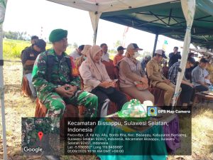 Babinsa Kelurahan Bonto Rita Hadiri Panen Raya Padi Bersama Bupati Bantaeng