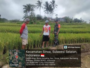 Babinsa Bersama Petani, Bukti Nyata Dukungan TNI untuk Ketahanan Pangan Nasional